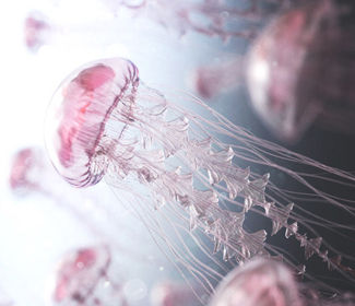 低空無人機測繪：高效、精確、廣泛應用的新興技術(shù)